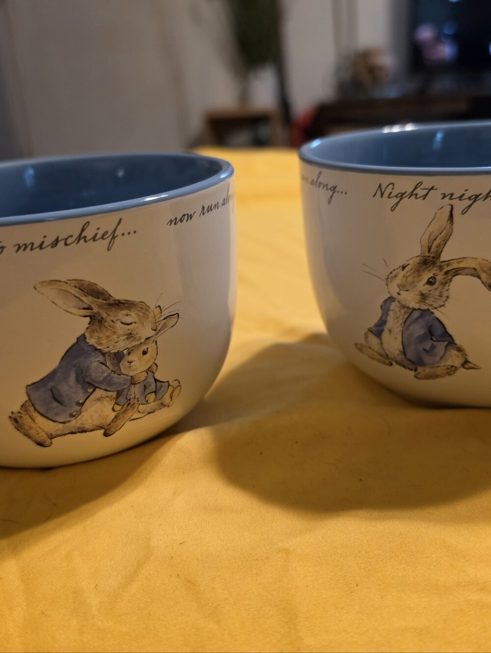 Peter Rabbit Soup Mugs